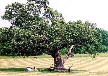 Princeton Battlefield, Princeton, NJ