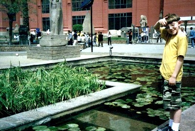 Papyrus growing outside the Egyptian Museum, Cairo, Egypt