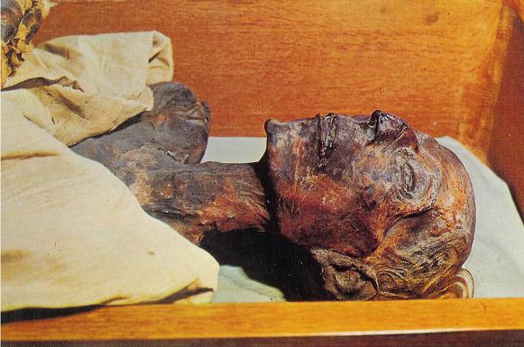 Mummy of Rameses II, at the Egyptian Museum, Cairo, Egypt (Moses may have looked into this face)
