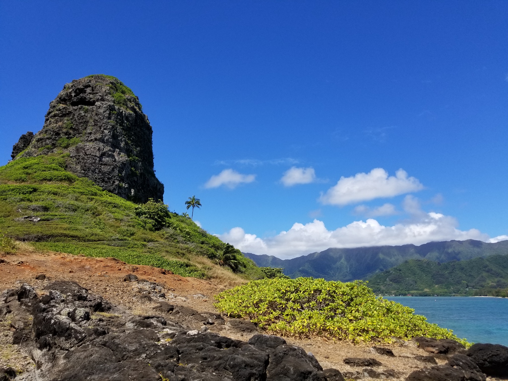 Chinaman's Hat, 20200531_101820