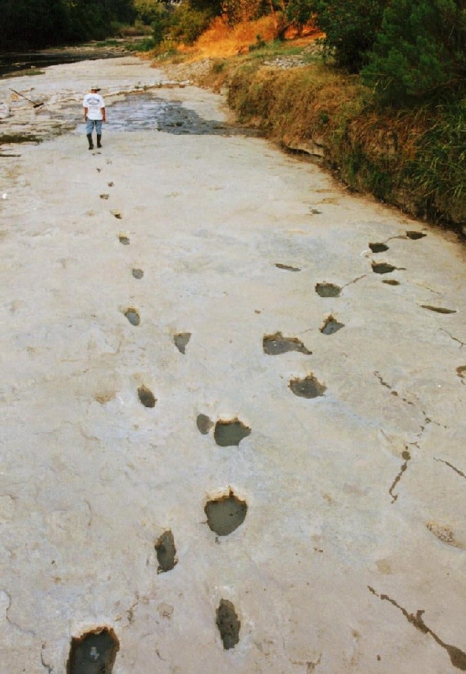Paluxy River, Glen Rose, TX